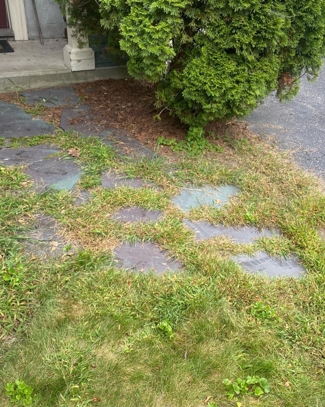 Before image of a walkway renovation project by Marcelino Hardscaping, showcasing an old stone path. Serving Central Massachusetts, the Metrowest region, and parts of Greater Boston.
